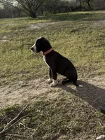 processed/449c62b6-1f78-4f2f-af64-aeae47a17d67/listing/3684f4fa-5602-409f-b1f6-eba7d2ce18d0/67733546-bcff-438d-8432-fe56a8908aa3