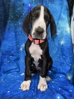 processed/449c62b6-1f78-4f2f-af64-aeae47a17d67/listing/3684f4fa-5602-409f-b1f6-eba7d2ce18d0/a7a8f662-a388-49b1-8a64-f2cef5605380