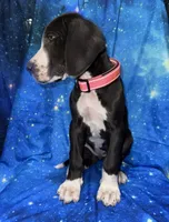 processed/449c62b6-1f78-4f2f-af64-aeae47a17d67/listing/3684f4fa-5602-409f-b1f6-eba7d2ce18d0/bad8fbef-d363-43ab-b82b-b2df6abbfc86