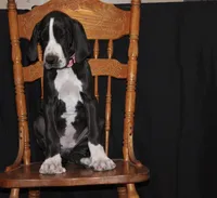 processed/449c62b6-1f78-4f2f-af64-aeae47a17d67/listing/3684f4fa-5602-409f-b1f6-eba7d2ce18d0/e1d01793-59e9-4023-a29f-7d1406b1d6c2