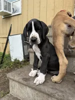 processed/449c62b6-1f78-4f2f-af64-aeae47a17d67/listing/3684f4fa-5602-409f-b1f6-eba7d2ce18d0/fb5b6e49-ff4f-46de-82bc-77a2b821637f