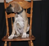 processed/449c62b6-1f78-4f2f-af64-aeae47a17d67/listing/371e1f2d-1c97-4276-8ffc-6c4cbf84e580/76dac297-fa5d-4cc9-a940-b1ba2a7f094d