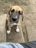 processed/449c62b6-1f78-4f2f-af64-aeae47a17d67/listing/371e1f2d-1c97-4276-8ffc-6c4cbf84e580/7e3baa9e-341a-4999-adf9-8ecbea3f62db