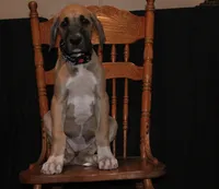 processed/449c62b6-1f78-4f2f-af64-aeae47a17d67/listing/371e1f2d-1c97-4276-8ffc-6c4cbf84e580/a08c0057-24ab-4055-a1ba-cb1cdbf6e6b4