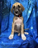 processed/449c62b6-1f78-4f2f-af64-aeae47a17d67/listing/371e1f2d-1c97-4276-8ffc-6c4cbf84e580/c3afbf98-7fbf-4011-a12b-765a5913f9a9