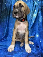 processed/449c62b6-1f78-4f2f-af64-aeae47a17d67/listing/371e1f2d-1c97-4276-8ffc-6c4cbf84e580/ccd4ffbf-bb68-4dc1-92ef-ca771938d429