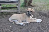 processed/449c62b6-1f78-4f2f-af64-aeae47a17d67/listing/371e1f2d-1c97-4276-8ffc-6c4cbf84e580/fb69906a-ae39-41cf-bc27-9a511e68765e