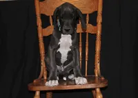 processed/449c62b6-1f78-4f2f-af64-aeae47a17d67/listing/6ad860cc-9744-4e21-9b27-2d03966fe1af/2e773dc0-bb54-4430-84f3-d9a843ddddb0