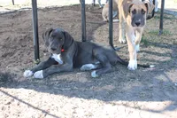 processed/449c62b6-1f78-4f2f-af64-aeae47a17d67/listing/6ad860cc-9744-4e21-9b27-2d03966fe1af/3d332241-98d7-4a79-99de-8fec07b8df2b