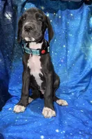 processed/449c62b6-1f78-4f2f-af64-aeae47a17d67/listing/6ad860cc-9744-4e21-9b27-2d03966fe1af/5210ba90-2349-4006-8622-f17a93727163