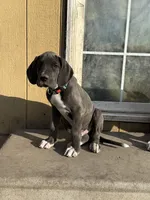 processed/449c62b6-1f78-4f2f-af64-aeae47a17d67/listing/6ad860cc-9744-4e21-9b27-2d03966fe1af/622646cb-ad24-4b9d-8beb-df0c33c631f0