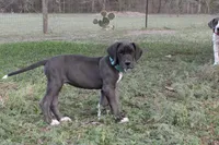 processed/449c62b6-1f78-4f2f-af64-aeae47a17d67/listing/6ad860cc-9744-4e21-9b27-2d03966fe1af/92903e9a-3676-44da-a72e-2ba499f248c0