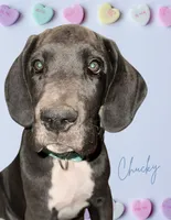 processed/449c62b6-1f78-4f2f-af64-aeae47a17d67/listing/6ad860cc-9744-4e21-9b27-2d03966fe1af/a2d0b8c6-ec85-415a-a857-35b8b5330aef