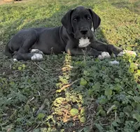 processed/449c62b6-1f78-4f2f-af64-aeae47a17d67/listing/6ad860cc-9744-4e21-9b27-2d03966fe1af/a46a1c36-27ad-4698-a08e-1ce3ee7892ec