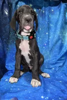 processed/449c62b6-1f78-4f2f-af64-aeae47a17d67/listing/6ad860cc-9744-4e21-9b27-2d03966fe1af/d9282e6b-23a1-47e8-ae6a-0e4e44afe00b