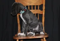 processed/449c62b6-1f78-4f2f-af64-aeae47a17d67/listing/6ad860cc-9744-4e21-9b27-2d03966fe1af/fb859baa-280f-4a3f-9560-a6cbd9677e37