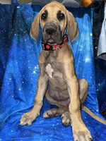 processed/449c62b6-1f78-4f2f-af64-aeae47a17d67/listing/76ba807f-03cf-419e-b9b5-c0f137ff3495/4f7c4a15-d729-4d8a-a555-8331c48620e7