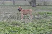 processed/449c62b6-1f78-4f2f-af64-aeae47a17d67/listing/76ba807f-03cf-419e-b9b5-c0f137ff3495/d7d1a2e7-7412-45e8-b062-f12df92d23ac