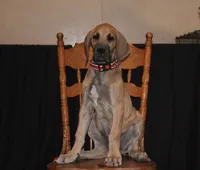 processed/449c62b6-1f78-4f2f-af64-aeae47a17d67/listing/76ba807f-03cf-419e-b9b5-c0f137ff3495/e4a9546c-678f-40d7-9444-7355a6fedd6a