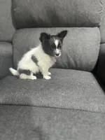 processed/44ae02f6-37cc-4a4e-855c-3101e4d23ec5/listing/0822e6f9-db42-4232-95b2-4fad72076bf4/f9704e6b-c3d6-46e8-8c50-bdb5acd0f802