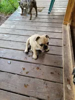 processed/44b2411c-d440-4ead-8aab-bd45c198900d/facility/0053684e-cd1a-4463-b4a5-1f9f3a2b758a