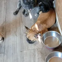 processed/44b2411c-d440-4ead-8aab-bd45c198900d/facility/048db457-9f90-4c0a-8c21-84898ae82ff4