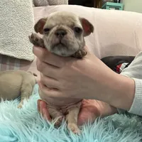 processed/44b2411c-d440-4ead-8aab-bd45c198900d/facility/409fbb6e-1de8-4ef7-be10-243a3afb7d0b