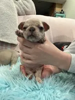 processed/44b2411c-d440-4ead-8aab-bd45c198900d/facility/409fbb6e-1de8-4ef7-be10-243a3afb7d0b