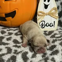 processed/44b2411c-d440-4ead-8aab-bd45c198900d/facility/478711d5-be4a-487f-8948-5228ebe9f860