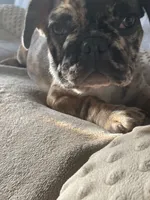 processed/44b2411c-d440-4ead-8aab-bd45c198900d/facility/4b8e7383-531d-4d72-9e2d-caad1198db38