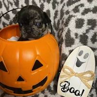 processed/44b2411c-d440-4ead-8aab-bd45c198900d/facility/7aa5fb03-d72f-49e4-bc06-e3997e28eaca