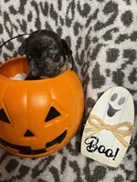 processed/44b2411c-d440-4ead-8aab-bd45c198900d/facility/7aa5fb03-d72f-49e4-bc06-e3997e28eaca