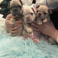 processed/44b2411c-d440-4ead-8aab-bd45c198900d/facility/b50c7ea7-fa1d-4c73-9cf8-95d1c1b68db3