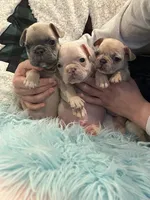 processed/44b2411c-d440-4ead-8aab-bd45c198900d/facility/b50c7ea7-fa1d-4c73-9cf8-95d1c1b68db3