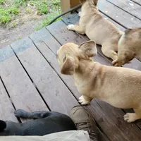 processed/44b2411c-d440-4ead-8aab-bd45c198900d/facility/d6efc00f-6e09-417b-98ea-62afa162285b