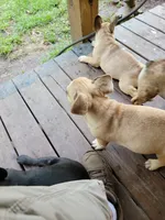 processed/44b2411c-d440-4ead-8aab-bd45c198900d/facility/d6efc00f-6e09-417b-98ea-62afa162285b