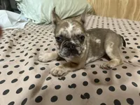 processed/44b2411c-d440-4ead-8aab-bd45c198900d/listing/6e9d5a3f-0ae5-4477-87f6-205261fd9bbf/2c6369ed-71b4-4412-b2d1-d1dbbbc2c57a