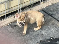 processed/44b2411c-d440-4ead-8aab-bd45c198900d/listing/6e9d5a3f-0ae5-4477-87f6-205261fd9bbf/c937b00f-c60b-4b5c-953e-1da8530ee407