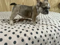 processed/44b2411c-d440-4ead-8aab-bd45c198900d/listing/6e9d5a3f-0ae5-4477-87f6-205261fd9bbf/f6fdd817-d02f-4842-898c-3d4c7415df1b