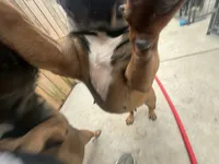 processed/44b2411c-d440-4ead-8aab-bd45c198900d/listing/94384db0-dc4d-487e-9e18-0182f4009380/11a71ed2-f7e5-4e62-847d-820a431974af