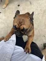 processed/44b2411c-d440-4ead-8aab-bd45c198900d/listing/94384db0-dc4d-487e-9e18-0182f4009380/3a2615da-7913-4c45-9e35-474c7bdd41bc