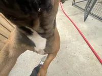 processed/44b2411c-d440-4ead-8aab-bd45c198900d/listing/94384db0-dc4d-487e-9e18-0182f4009380/9dca4963-643c-4c42-a86a-a5684136f70e