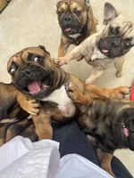 processed/44b2411c-d440-4ead-8aab-bd45c198900d/listing/94384db0-dc4d-487e-9e18-0182f4009380/9dec9eb3-8c84-47c5-9d1f-3bff32256ffe