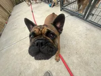 processed/44b2411c-d440-4ead-8aab-bd45c198900d/listing/94384db0-dc4d-487e-9e18-0182f4009380/b3c9426a-4d52-491e-8d17-2310acafb5ef