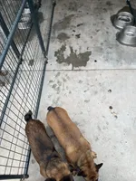 processed/44b2411c-d440-4ead-8aab-bd45c198900d/listing/94384db0-dc4d-487e-9e18-0182f4009380/c25ad37c-cab4-430f-be75-fb9c0da56eb2