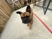 processed/44b2411c-d440-4ead-8aab-bd45c198900d/listing/94384db0-dc4d-487e-9e18-0182f4009380/de86fb38-f83a-4610-b0fd-d5fc767ab5a1