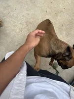 processed/44b2411c-d440-4ead-8aab-bd45c198900d/listing/94384db0-dc4d-487e-9e18-0182f4009380/efb823a9-3cb0-4763-a8d1-34f41743160b