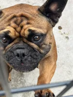 processed/44b2411c-d440-4ead-8aab-bd45c198900d/listing/94384db0-dc4d-487e-9e18-0182f4009380/f9c77ec3-d242-4af9-8eb5-2d9a0895f75b