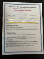 Female #2, a female American Pit Bull Terrier for sale in Detroit, MI – Photo 7 of 7