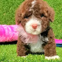 processed/44ba31ea-8aa2-4774-8b24-7886aa330367/facility/ee10187e-4274-4836-a380-1b200efd8067